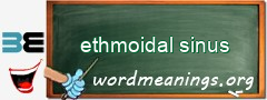WordMeaning blackboard for ethmoidal sinus